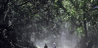 Potenciarn el turismo verde en Panam