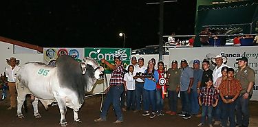 Premian a ganaderos durante la Feria de David Premian a ganaderos durante la Feria de David