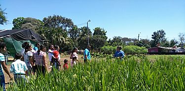 Productores de Gualaca se capacitan en preparacin de abonos orgnicos 