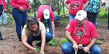 1600 plantones se sembraron como parte del programa de voluntariado 