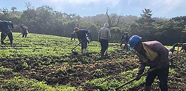 Da de campo con productores y extensionistas de la comarca Ngbe Bugl 