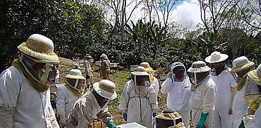 Productores participan del Programa Mejoramiento de la Apicultura en Panam 