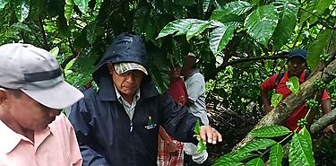 Capacitan en Manejo de Plagas del Caf en comunidades de Chepo
