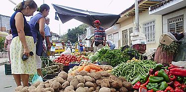 FAO aboga por un comercio a favor de la seguridad alimentaria FAO aboga por un comercio a favor de la seguridad alimentaria