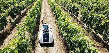 Un robot para monitorizar parmetros clave en los viedos