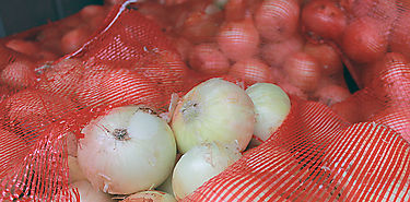 IMA aclara que no ha importado cebollas  IMA aclara que no ha importado cebollas