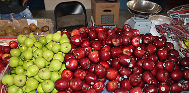 Comer fruta fuera de temporada puede alterar el reloj molecular en ratas Comer fruta fuera de temporada puede alterar el reloj molecular en ratas