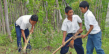 En Chiriqu 52 escuelas participan en programa de Huertos Escolares