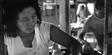 Aprueban protección laboral para mujeres embarazadas de las bananeras Aprueban protección laboral para mujeres embarazadas de las bananeras