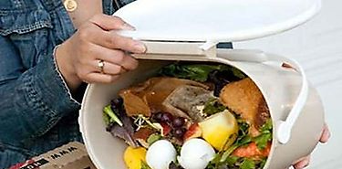 Expertos proponen pautas para reducir desperdicios de alimentos Expertos proponen pautas para reducir desperdicios de alimentos