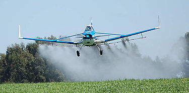 FAO apela a agricultores para frenar resistencia a antimicrobianos