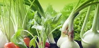 Los efectos saludables de las verduras aumentan al cocinarlas con aceite de oliva virgen extra