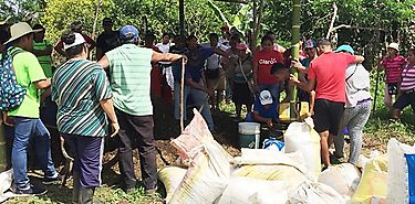 Presentan alternativas de abono orgnico para abaratar costos de produccin