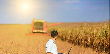 Hay que transformar los sistemas agroalimentarios