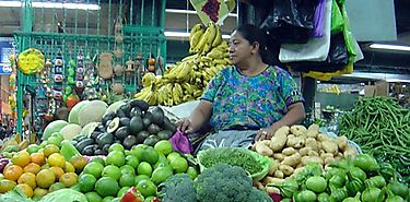 Inician las Naviferias del IMA en todo el país Inician las Naviferias del IMA en todo el país