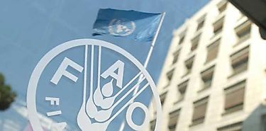 Publica FAO anuario estadístico sobre agricultura y alimentación 2021