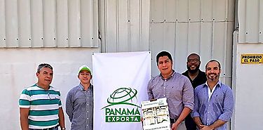 Panamá enviará palmitos a Estados Unidos y Francia bajo la marca país Panamá Exporta  Panamá enviará palmitos a Estados Unidos y Francia bajo la marca país Panamá Exporta