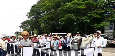 Productores volverán a protestar el 18 de diciembre Productores volverán a protestar el 18 de diciembre