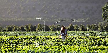 La inteligencia artificial acelera la solucin de desafos ambientales en la regin