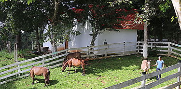 Fincas agrotursticas diseadas para vivir experiencias