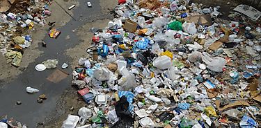 MiAMBIENTE en operativo de basura cero entrega bolsas reutilizables MiAMBIENTE en operativo de basura cero entrega bolsas reutilizables
