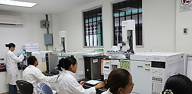 Laboratorios de Sanidad Vegetal del MIDA cumplen con certificaciones internacionales de Gestión de Calidad Laboratorios de Sanidad Vegetal del MIDA cumplen con certificaciones internacionales de Gestión de Calidad