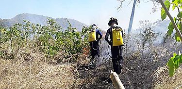 Emiten aviso de prevencin hasta el viernes por incremento de incendios de masa vegeta