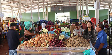 Presidente de la Comisión Agropecuaria inspecciono nuevo mercado  Presidente de la Comisión Agropecuaria inspecciono nuevo mercado