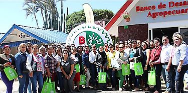 Sucursal del Banco de Desarrollo Agropecuario en Boquete suma a más mujeres agro emprendedoras  Sucursal del Banco de Desarrollo Agropecuario en Boquete suma a más mujeres agro emprendedoras