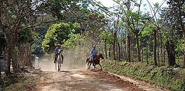 Homologan Rehabilitacin de Caminos de Produccin Agropecuarios para las provincias de Cocl Herrera Los Santos Panam Oeste Coln Bocas del Toro y Veraguas