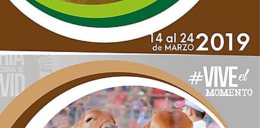 Sexagsima Cuarta versin de la FIDA 