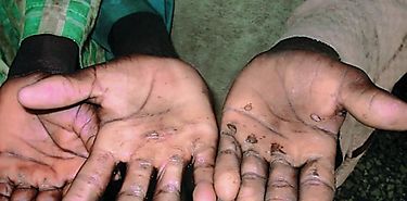 Panam libre de mano de obra infantil en el cultivo y cosecha de la caa de azcar