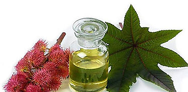 China desarrolla material altamente elstico para utilizacin de biomasa agrcola