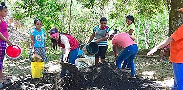 Presentan alternativas de abono orgnico para abaratar costos de produccin