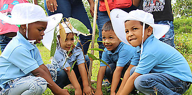 Panam adopta Estrategia Nacional Forestal 2050 