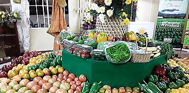 Minsa y Mida analizan riesgo de frutas y alimentos en Cocl