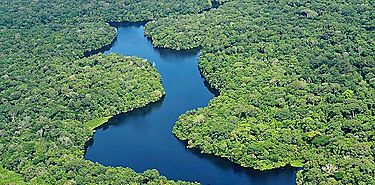 Amazona perdi 953000 hectreas de reas protegidas en las ltimas tres dcadas segn estudio
