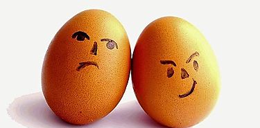 Un nuevo estudio cientfico advierte del peligro de consumo de huevos