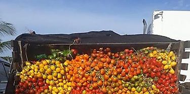 MIDA declara la guerra al contrabando en Chiriquí MIDA declara la guerra al contrabando en Chiriquí