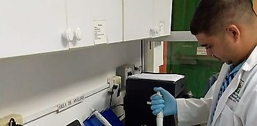 Sanidad Vegetal verifica gestin de calidad de Laboratorios con Auditoras Internas
