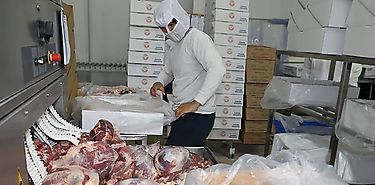Panam firma protocolos sanitarios con China para exportaciones de carne de cerdo y productos acuticos