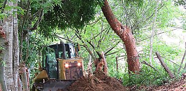 Habilitan por primera vez Camino de Produccin en Los Pintos de Las Minas en la provincia de Herrera