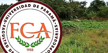 Facultad de Ciencias Agropecuarias 62 aos de aportes a la nacin panamea