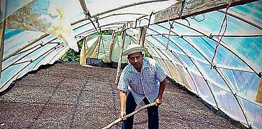 IMA continua apoyando a pequeos productores