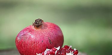 La granada una superfruta para la longevidad y contra el cnce