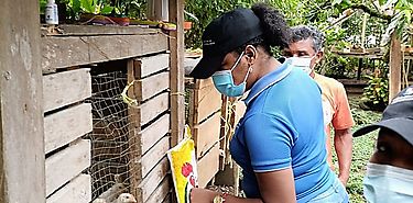 Resultado garantizado de la Inclusión Productiva en Bocas del Toro Resultado garantizado de la Inclusión Productiva en Bocas del Toro