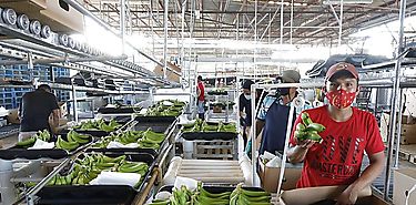 Cooperativas registran estabilidad y bajo índice de morosidad Cooperativas registran estabilidad y bajo índice de morosidad