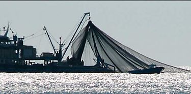 Tratan pesca ilegal en Panam