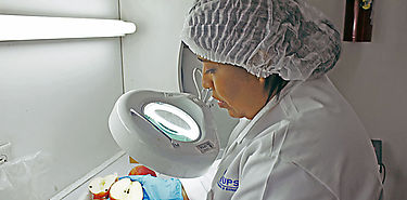 UNCAHI abre inscripciones para la maestra en Ciencias Qumicas con nfasis en Inocuidad Alimentaria