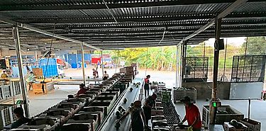 Agrotropical Sostenible SA inicia exportación de sandía desde Río Grande Coclé hacia mercados europeos Agrotropical Sostenible SA inicia exportación de sandía desde Río Grande Coclé hacia mercados europeos